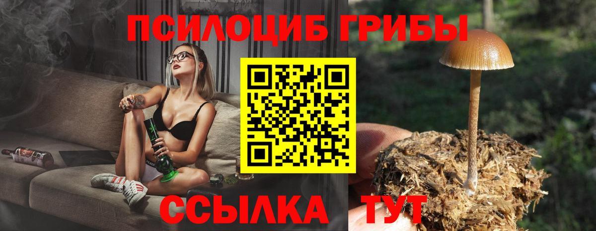 Псилоцибиновые грибы ЛСД  Вход с VPN  Сорочинск 